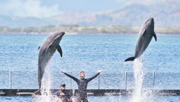 ocean adventure